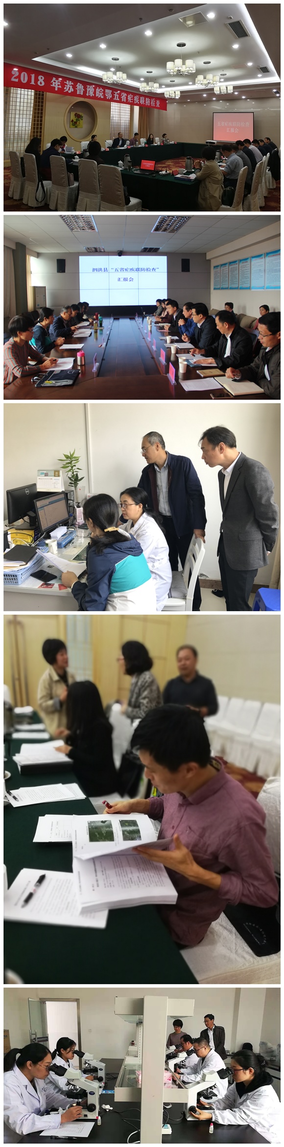 五省瘧疾聯防檢查組高度肯定我省消除瘧疾工作